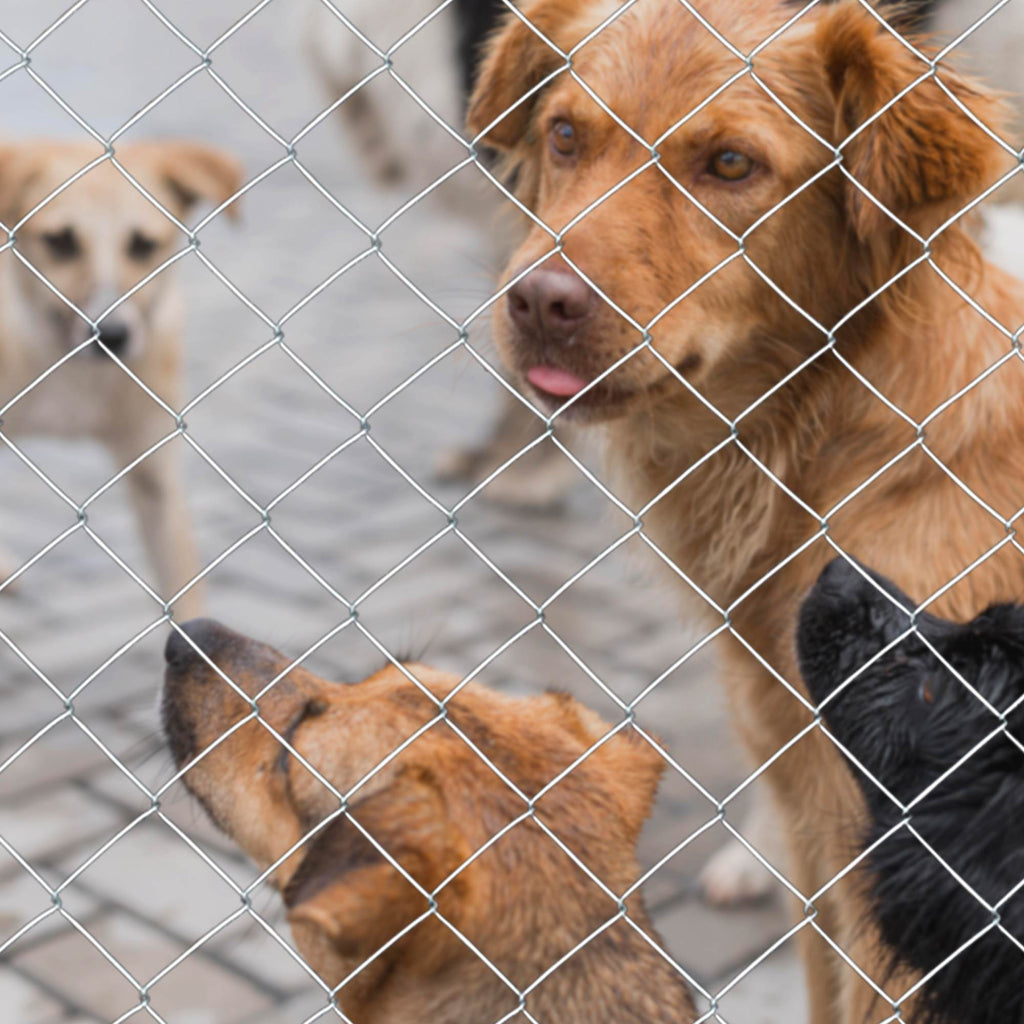 Farm Fence Heavy Zinc Coating Cattle Fence,Field Wire Fencing Deer Fence,Goat Fence,Hog Wire Fencing For Yard Livestock & Animals Protection - Image 7 | PawIQ Pet Tech