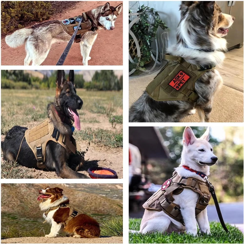 Pet Harness Luxury Dog Leash Set Chest Dog  Nylon Camouflage Dog Harness - Image 4 | PawIQ Pet Tech
