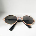 Pet Cat Glasses Cat Sunglasses - Image 1 | PawIQ Pet Tech