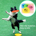 Silicone Flying Saucer Funny Pets Dog Cat Toy Dog Game Flying Discs Resistant Chew Puppy Training Interactive Pet Supplies - Image 1 | PawIQ Pet Tech